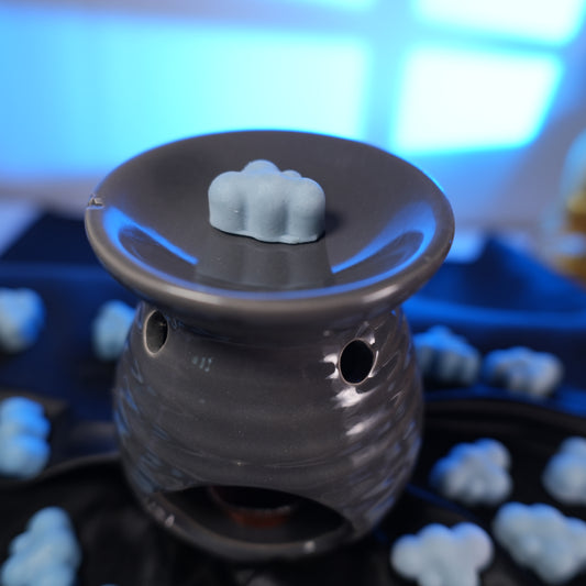 Aqua Wax Melts
